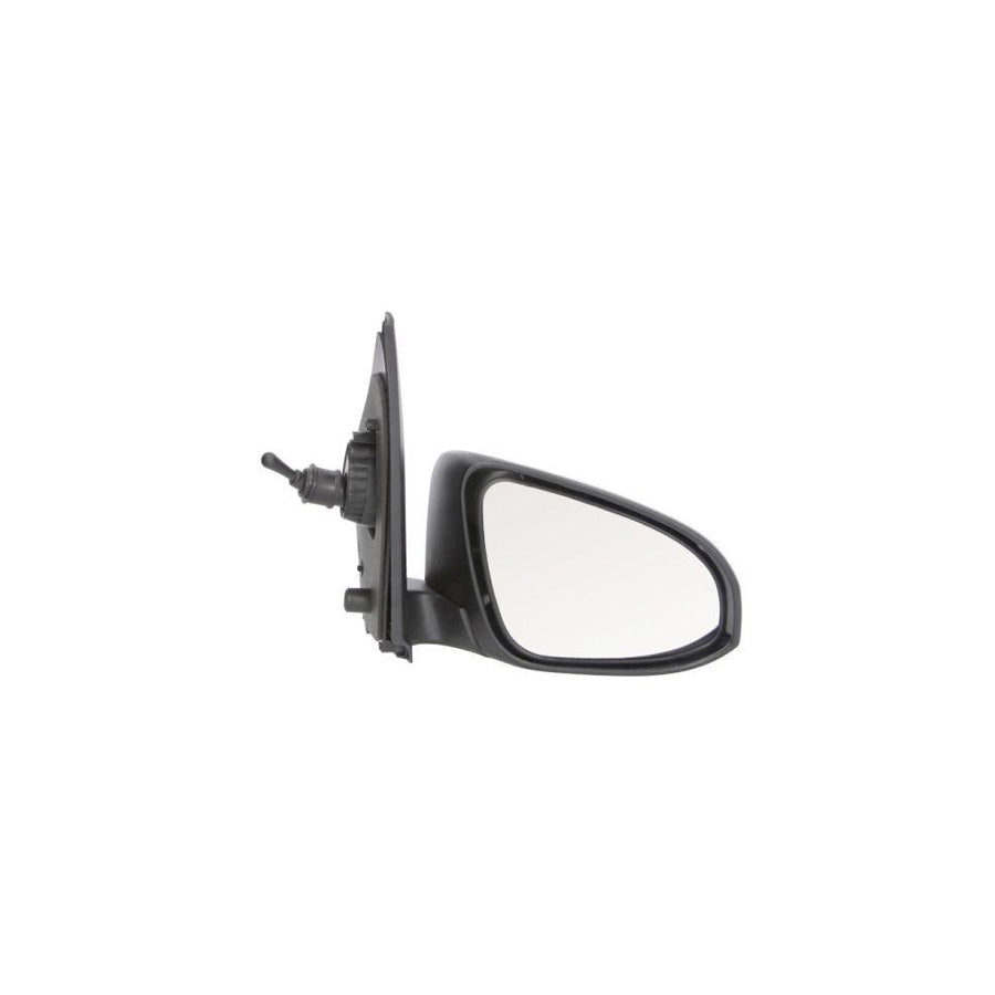 Blic 5402-21-045364P Wing Mirror