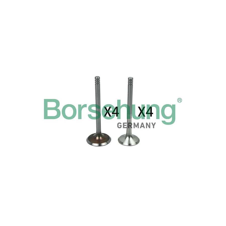 Borsehung B18642 Valve