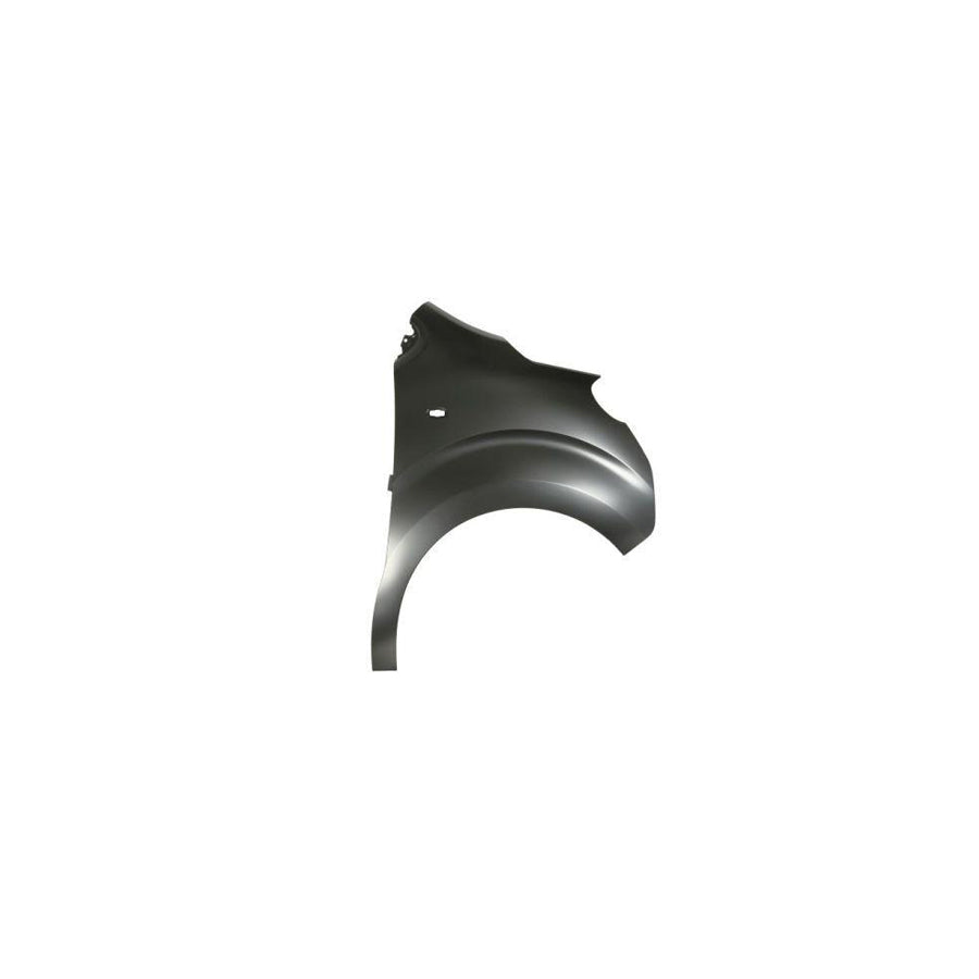 Blic 6504-04-0559312P Wing Fender