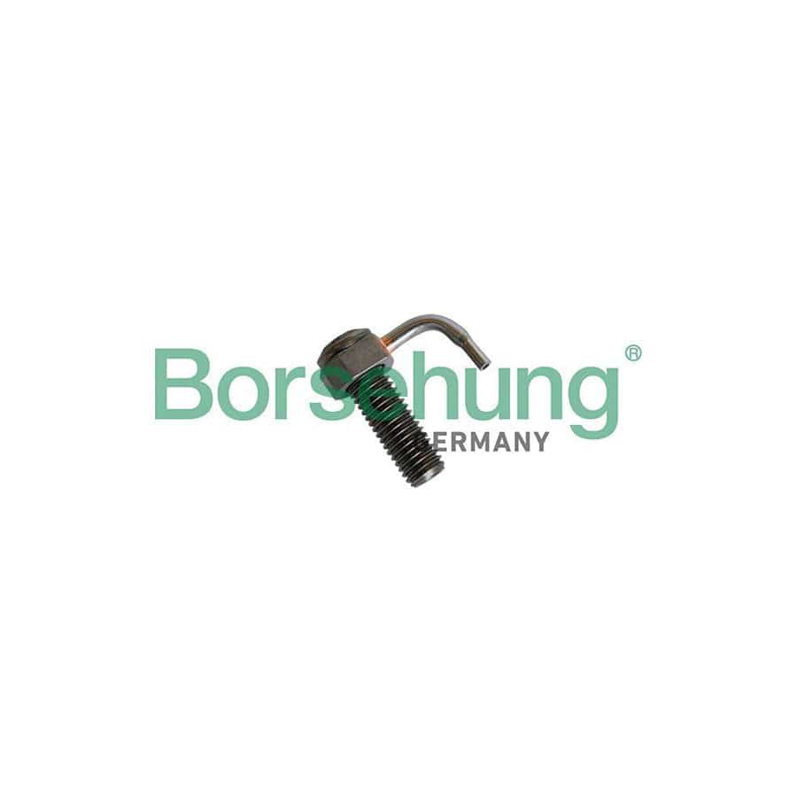 Borsehung B11162 Holding Bracket, Oil Jet