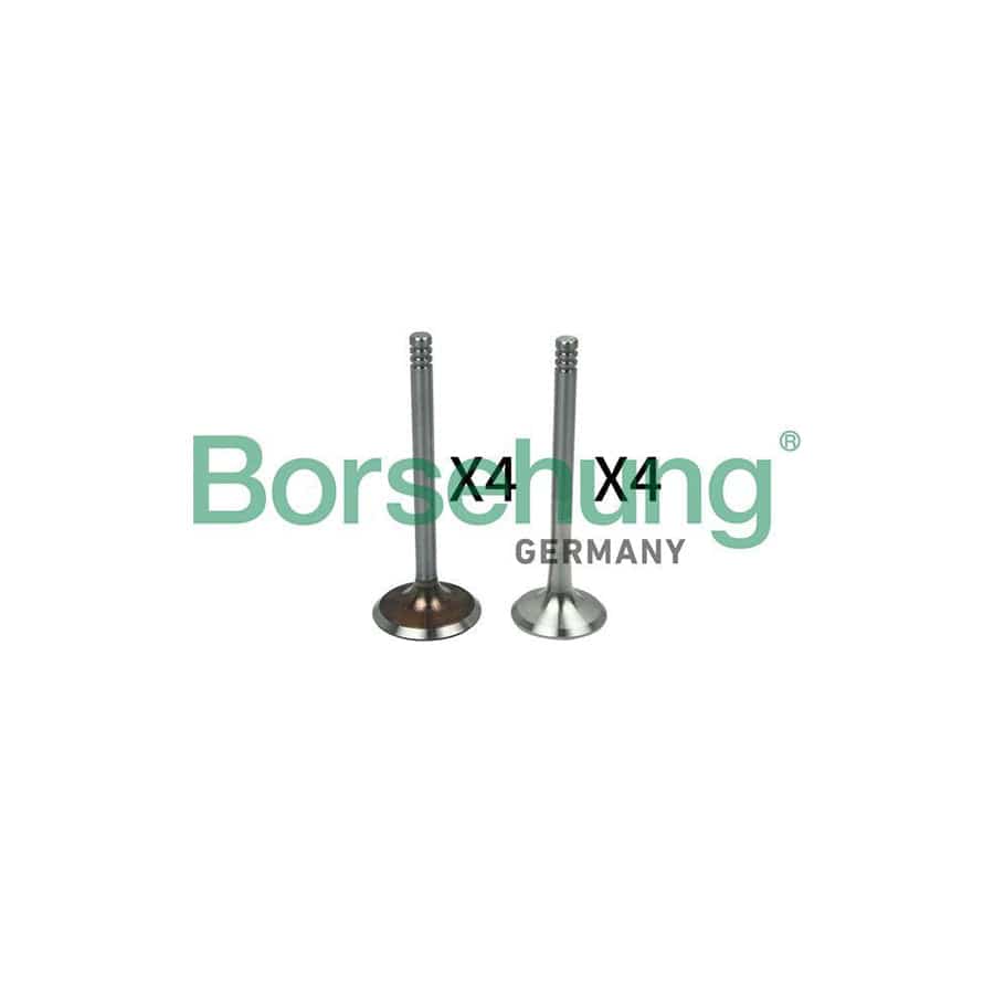 Borsehung B18641 Valve