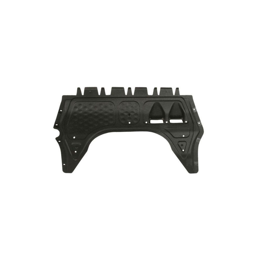 Blic 6601-02-0015864P Skid Plate