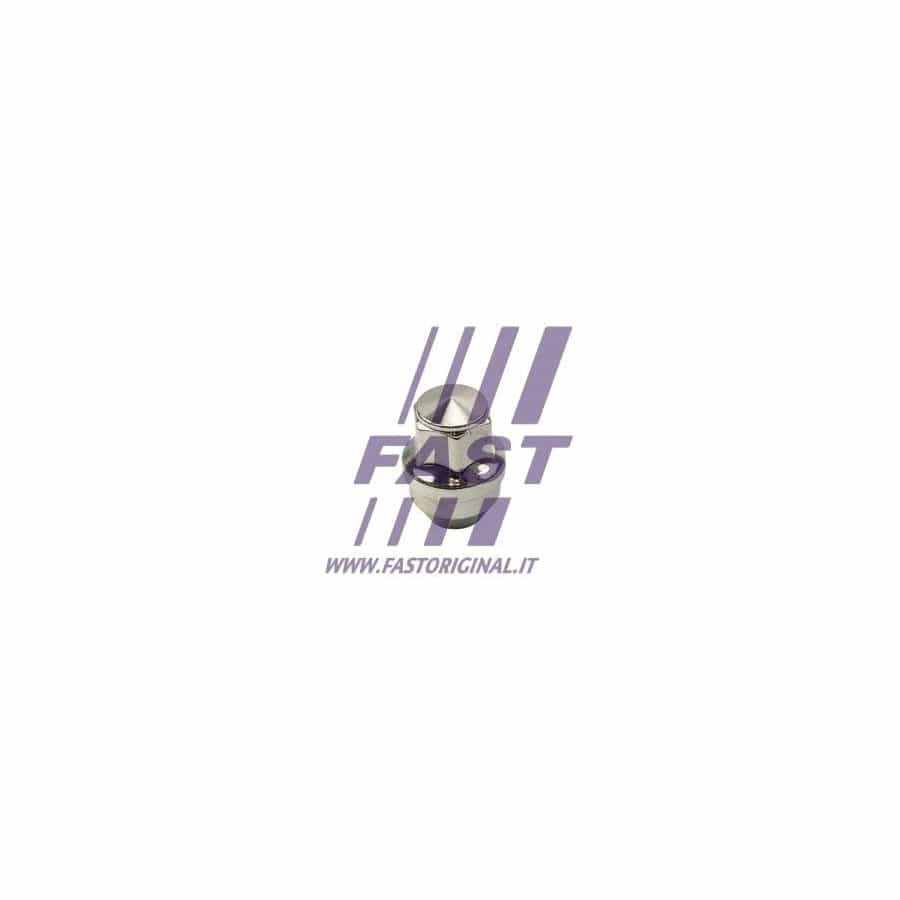 FAST FT21601 Wheel Nut | ML Performance UK Car Parts