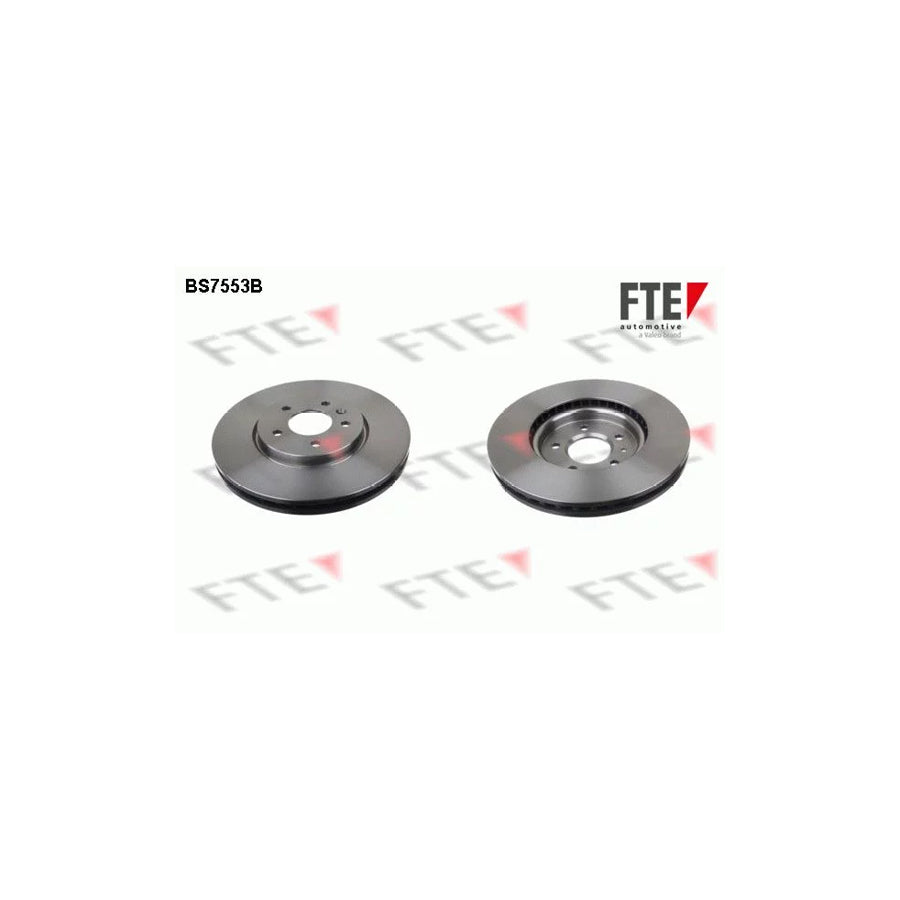 Fte 9081138 Brake Disc | ML Performance UK Car Parts