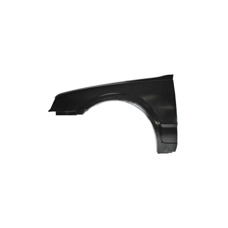 Blic 6504-04-9529311P Wing Fender For VW Polo