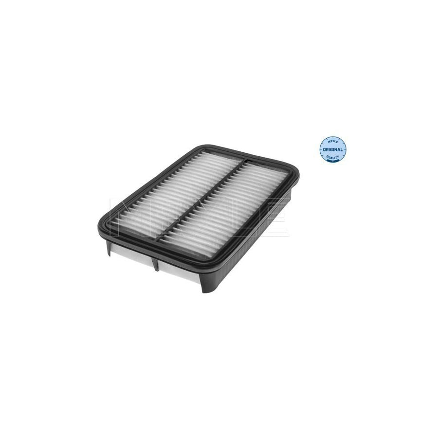 Meyle 30-12 321 0017 Air Filter