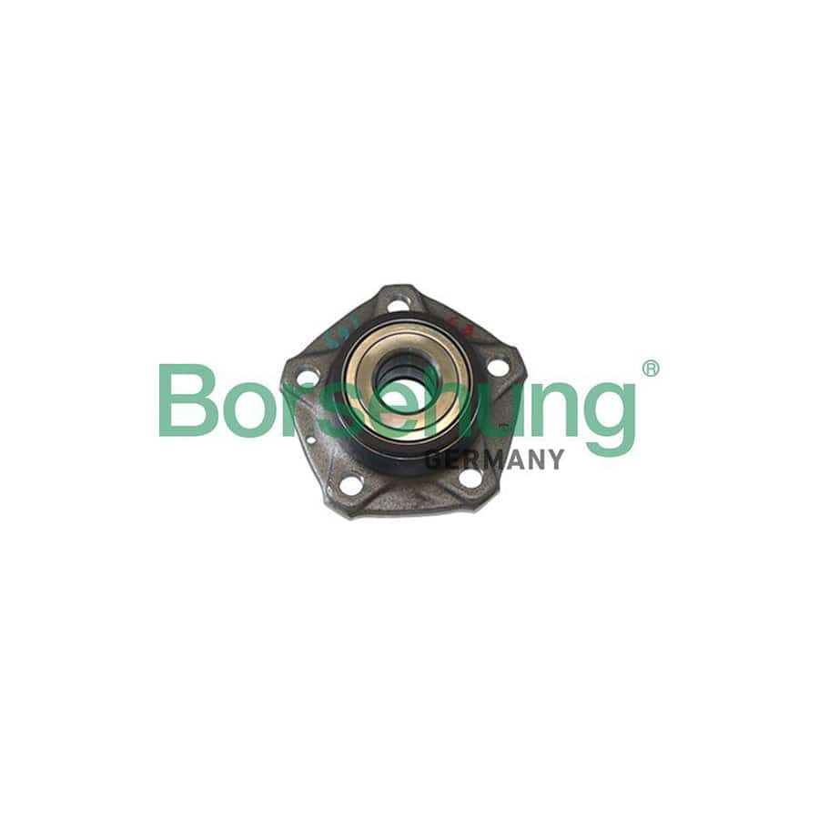 Borsehung B11286 Wheel Bearing Kit