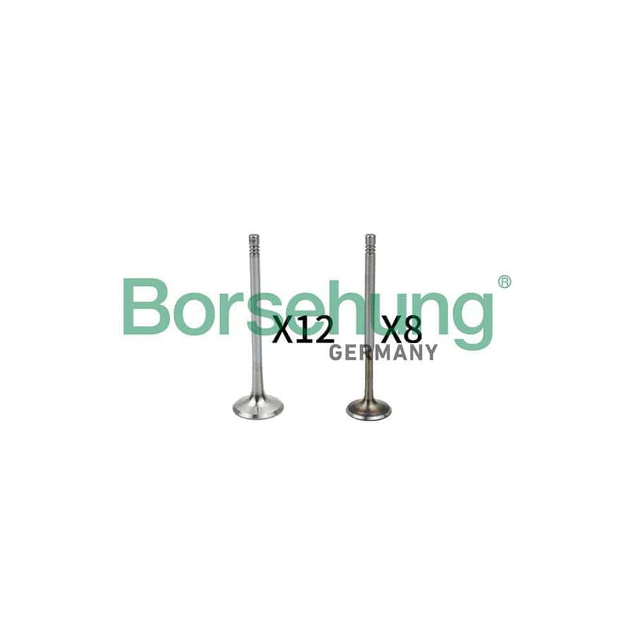 Borsehung B18635 Valve