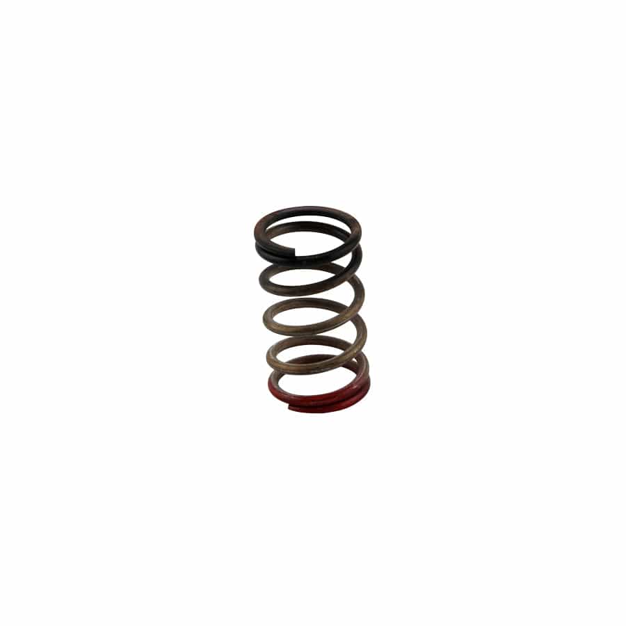 Turbosmart TS-0550-3112 GenV WG HP 40psi Spring (Black/Red) | ML Performance UK Car Parts