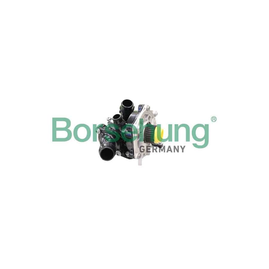 Borsehung B11209 Water Pump