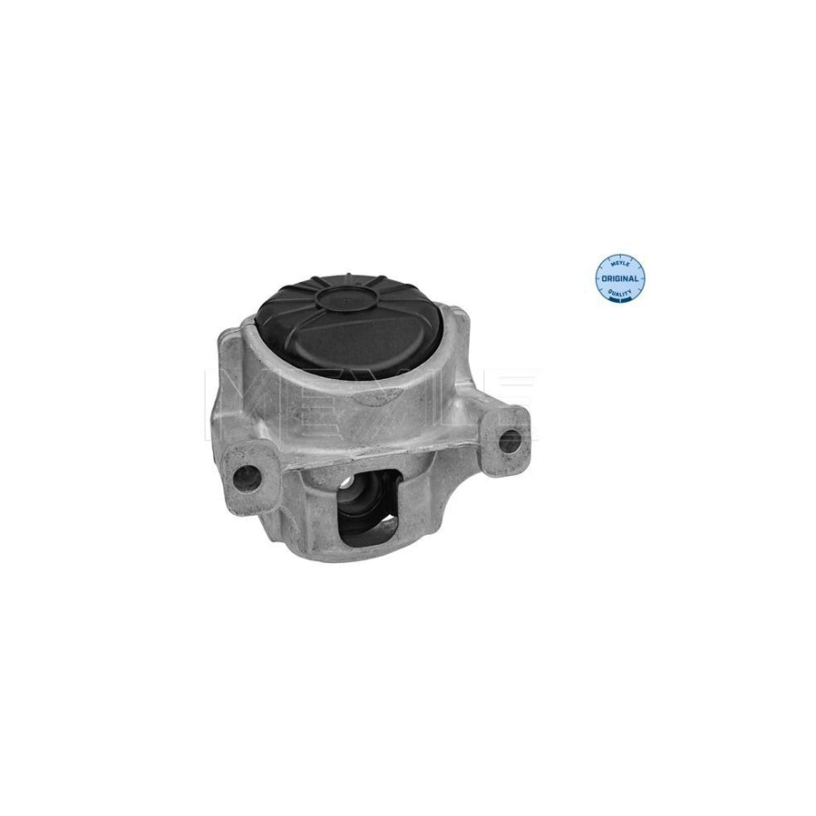 Meyle 100 199 1001 Engine Mount