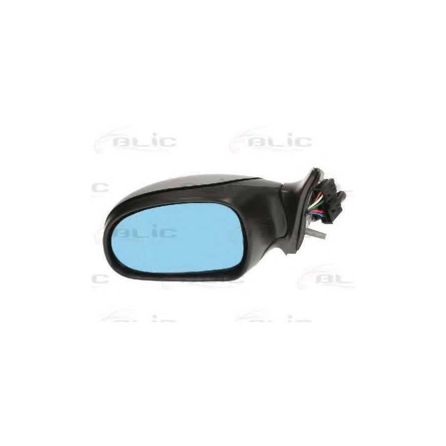 Blic 5402-04-1125859 Wing Mirror For Peugeot 406