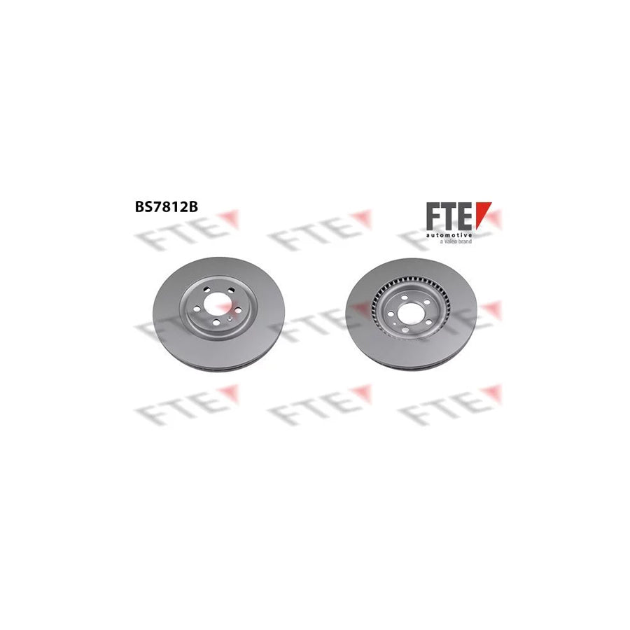 Fte 9081163 Brake Disc | ML Performance UK Car Parts