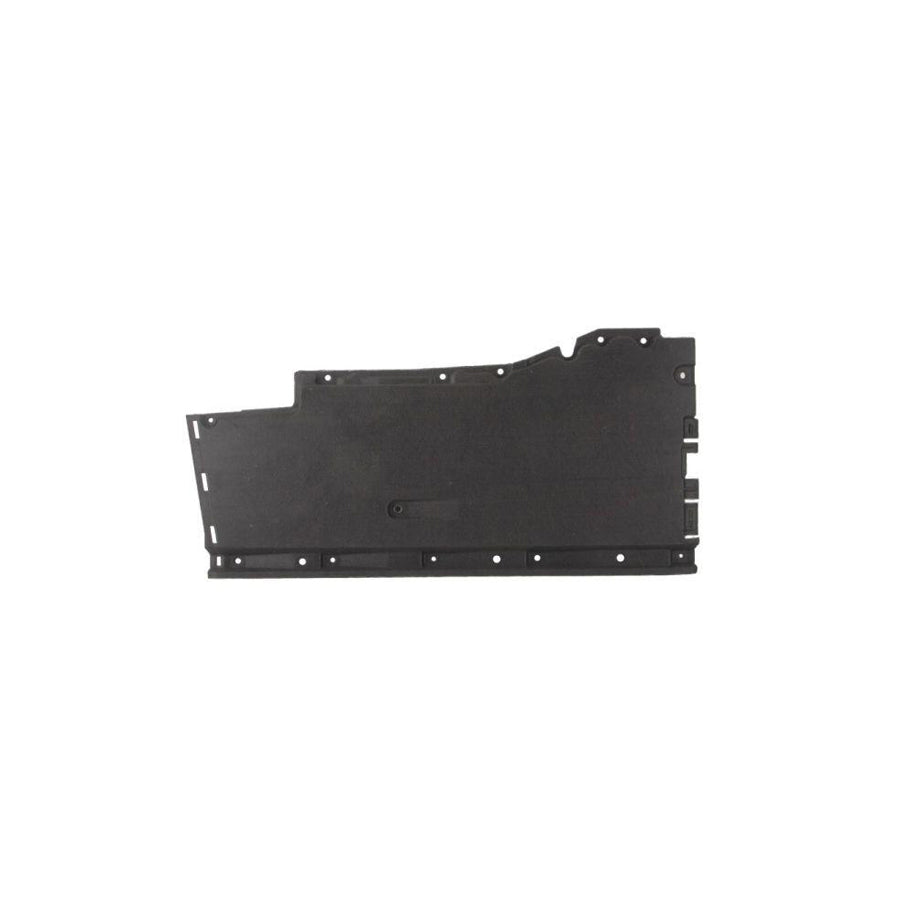 Blic 6601-02-0032984P Engine Cover For Audi A6