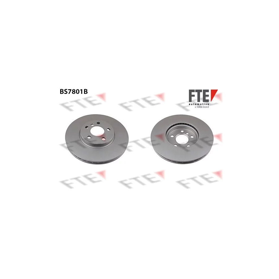 Fte 9081162 Brake Disc | ML Performance UK Car Parts