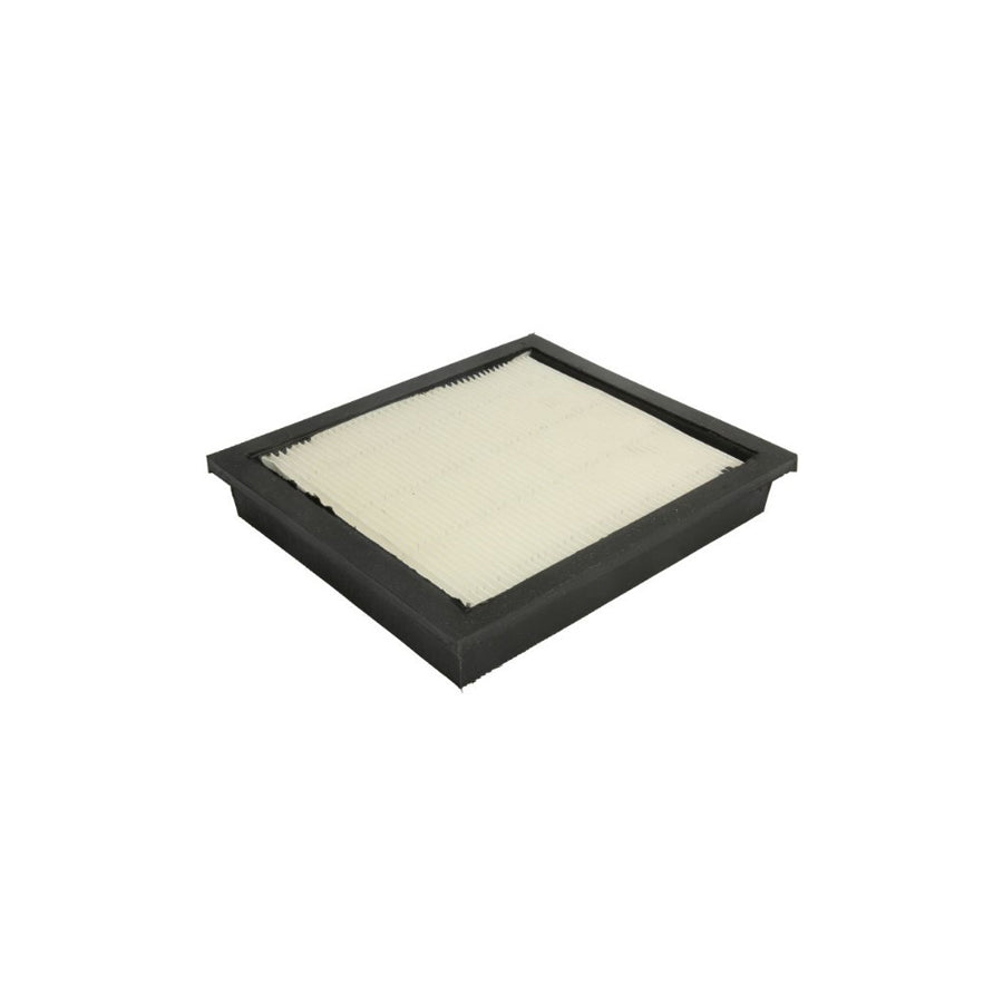 Boss Filters Bs02-369 Pollen Filter