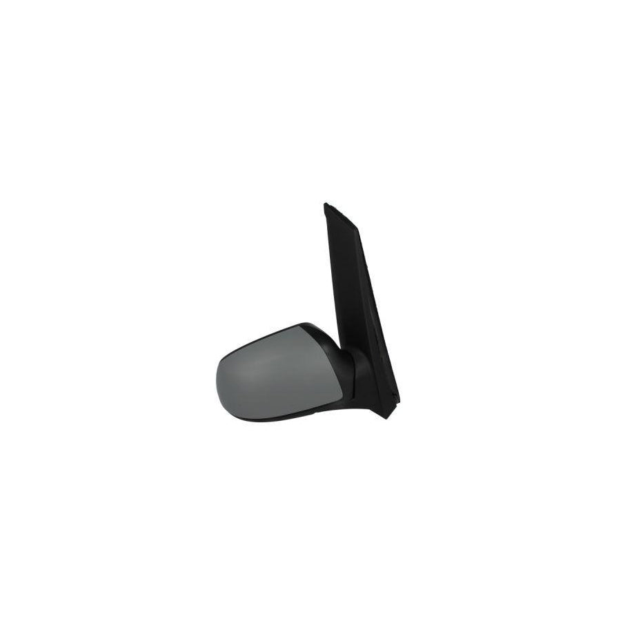 Blic 5402-04-9229399P Wing Mirror