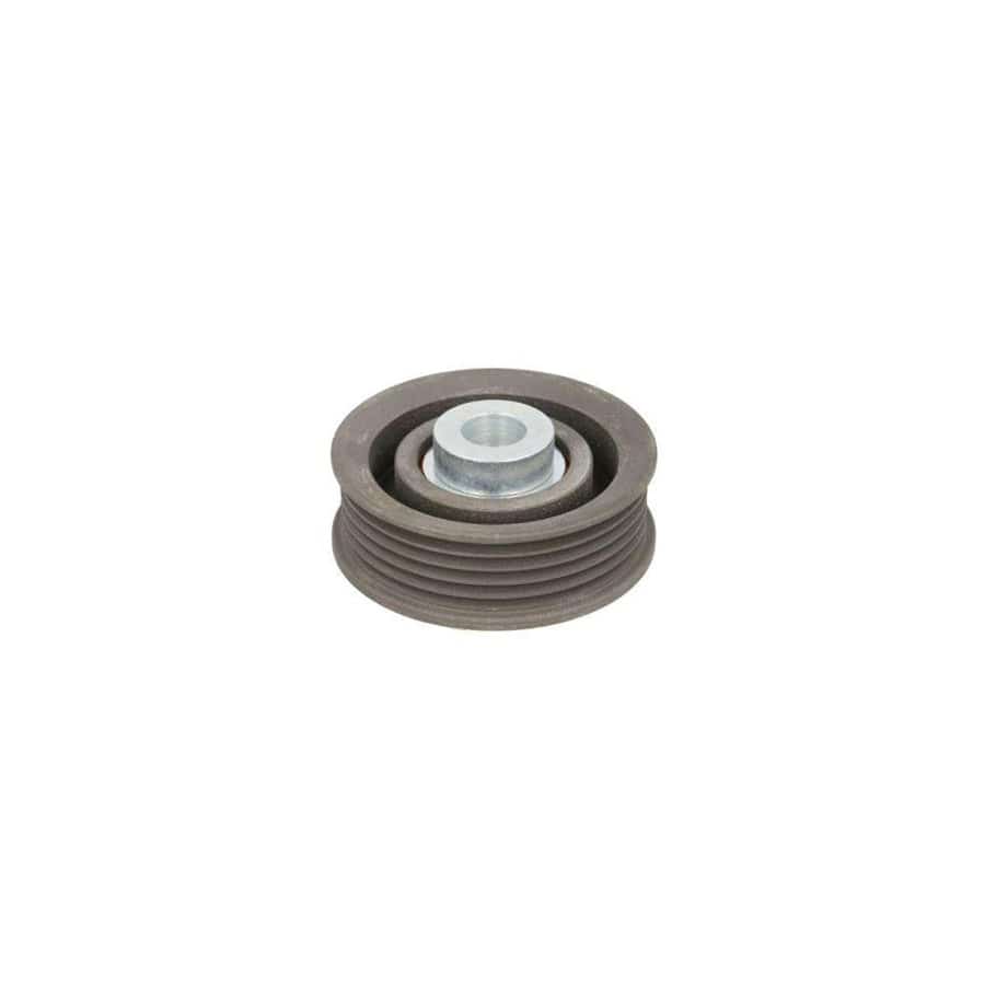 Bta E25016BTA Tensioner Pulley