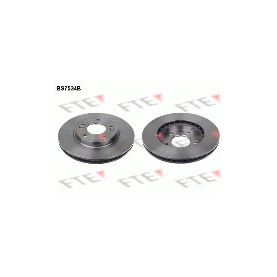 Fte BS7534B Brake Disc | ML Performance UK Car Parts