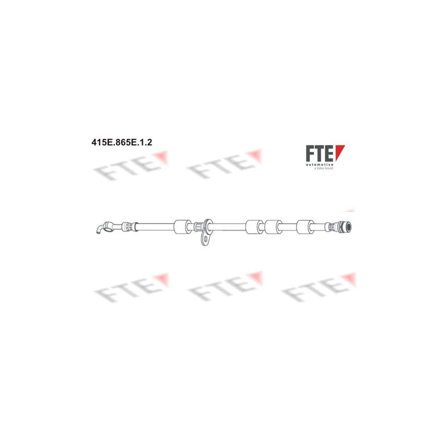 Fte 415E.865E.1.2 Brake Hose | ML Performance UK Car Parts