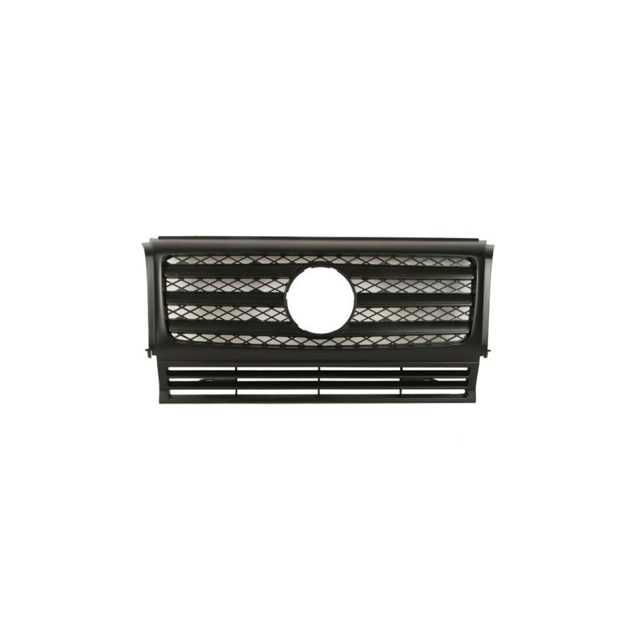 Blic 6502-07-3501995P Radiator Grille