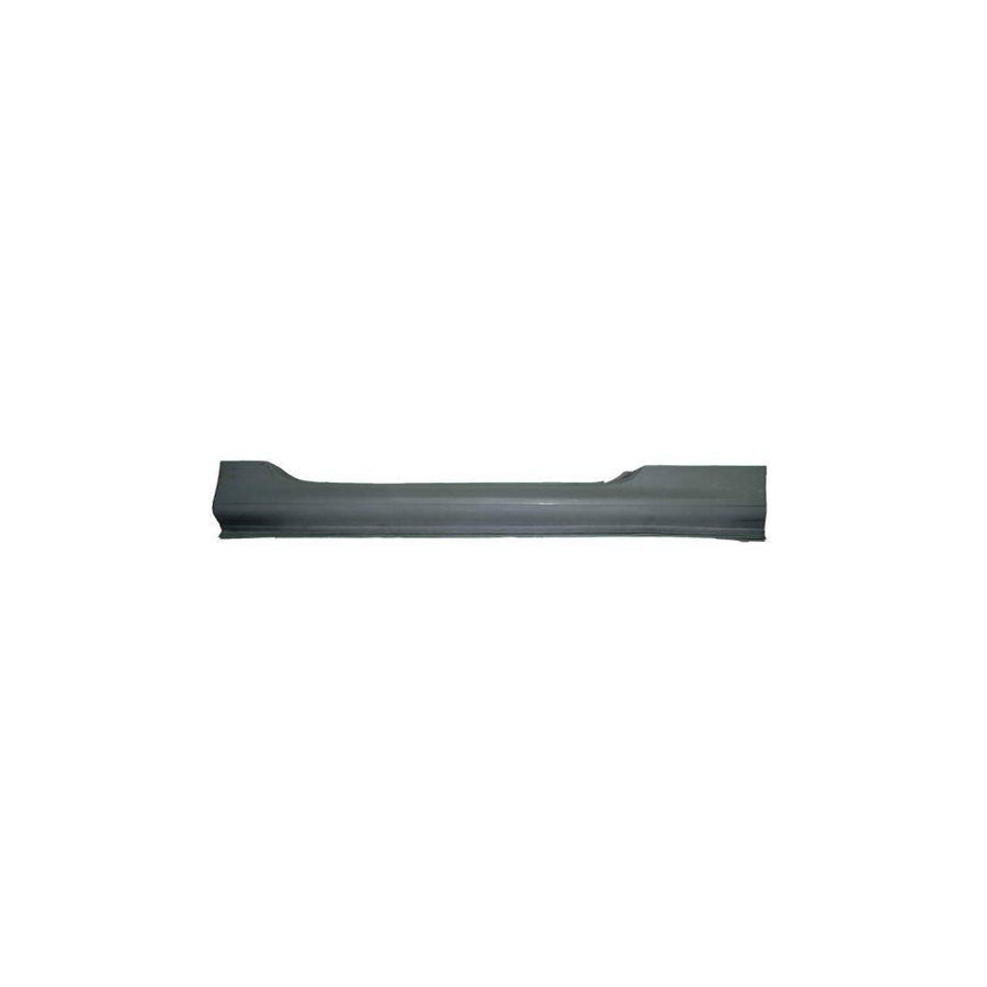 Blic 6505-06-5507001P Rocker Panel For Peugeot 206