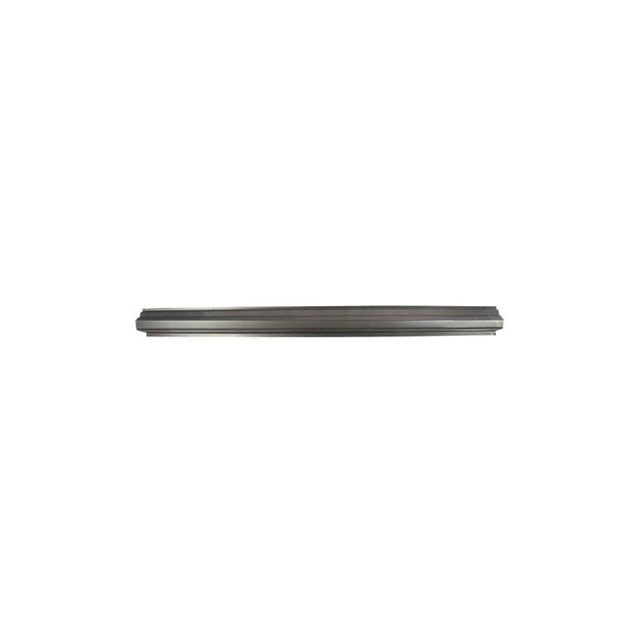 Blic 6505-06-5502013P Rocker Panel For Peugeot 106