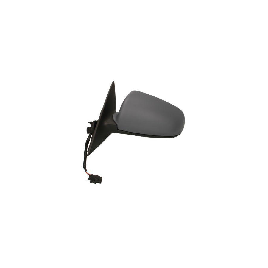 Blic 5402-04-1125798 Wing Mirror For Audi A6