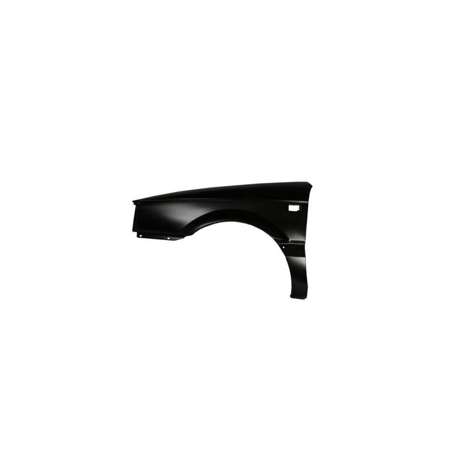 Blic 6504-04-9537311P Wing Fender For VW Passat