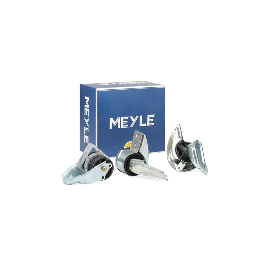 Meyle 014 024 1175/Hd Engine Mount