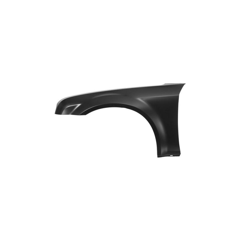 Blic 6504-04-0938311P Wing Fender For Chrysler 300