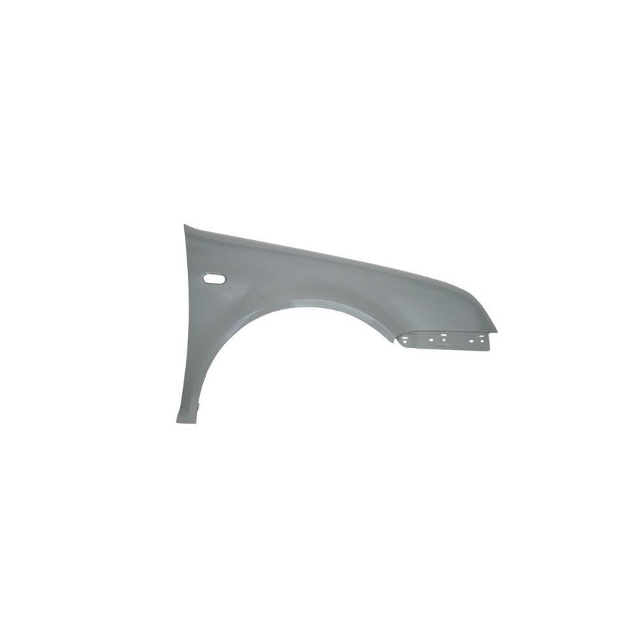 Blic 6504-04-9543312P Wing Fender For VW Bora