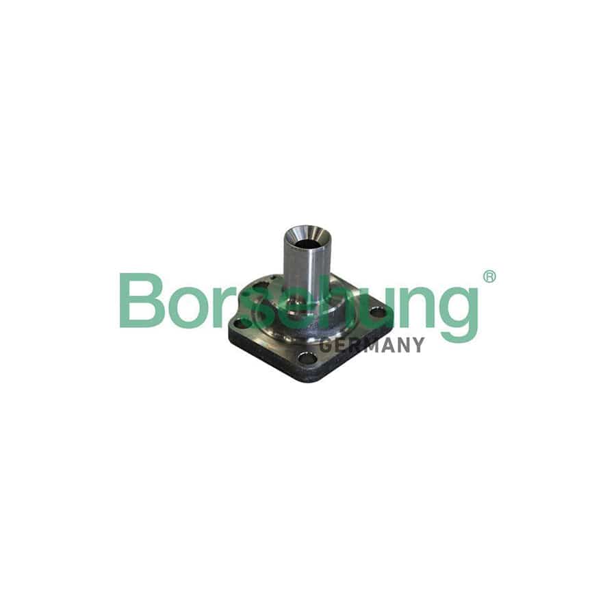 Borsehung B11291 Wheel Hub