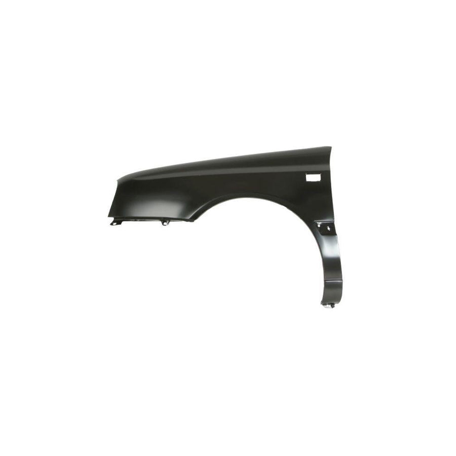 Blic 6504-04-9542311P Wing Fender