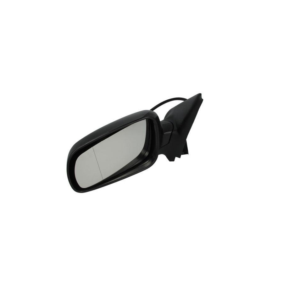 Blic 5402-04-1125979P Wing Mirror