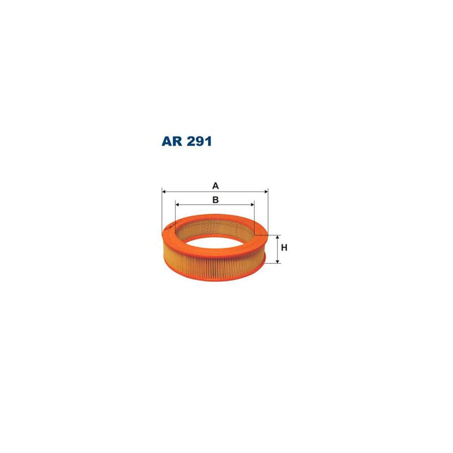 FILTRON AR 291 Air Filter | ML Performance UK Car Parts