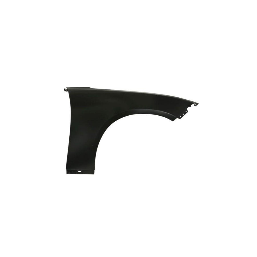 Blic 6504-04-0932314P Wing Fender