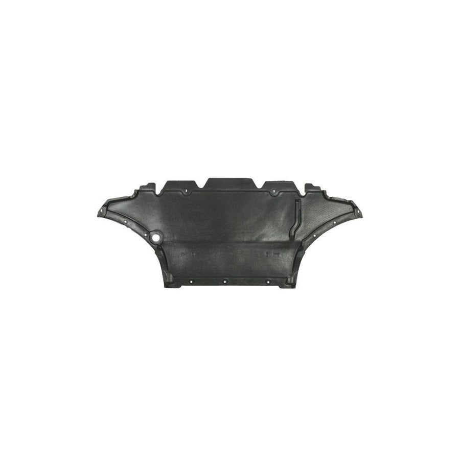 Blic 6601-02-0038860P Engine Cover