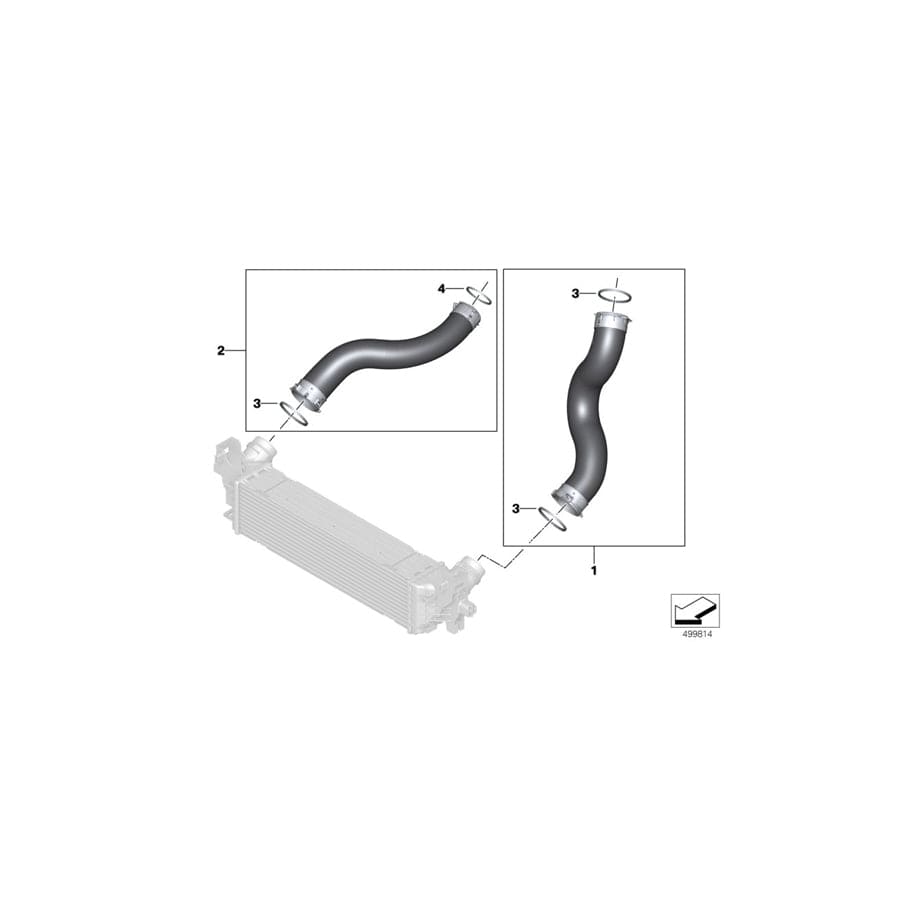 Genuine BMW 11618596842 G02 G20 Preformed Seal (Inc. X4 M, 320iX & X3 M) | ML Performance UK Car Parts