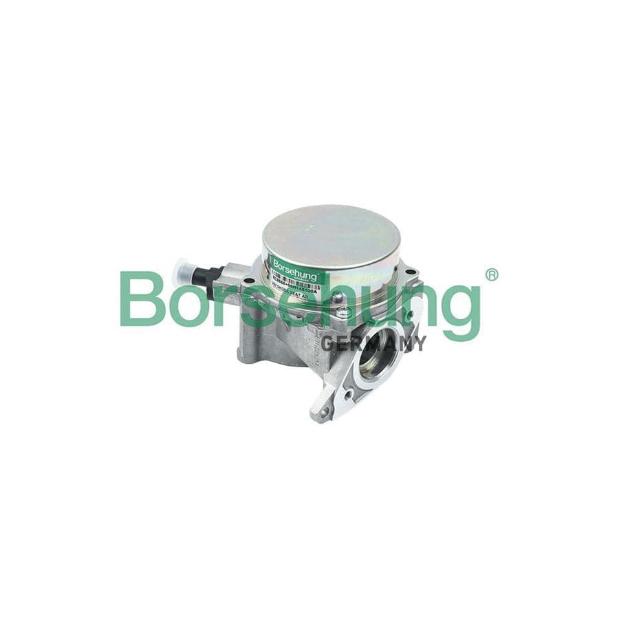 Borsehung B18666 Brake Vacuum Pump