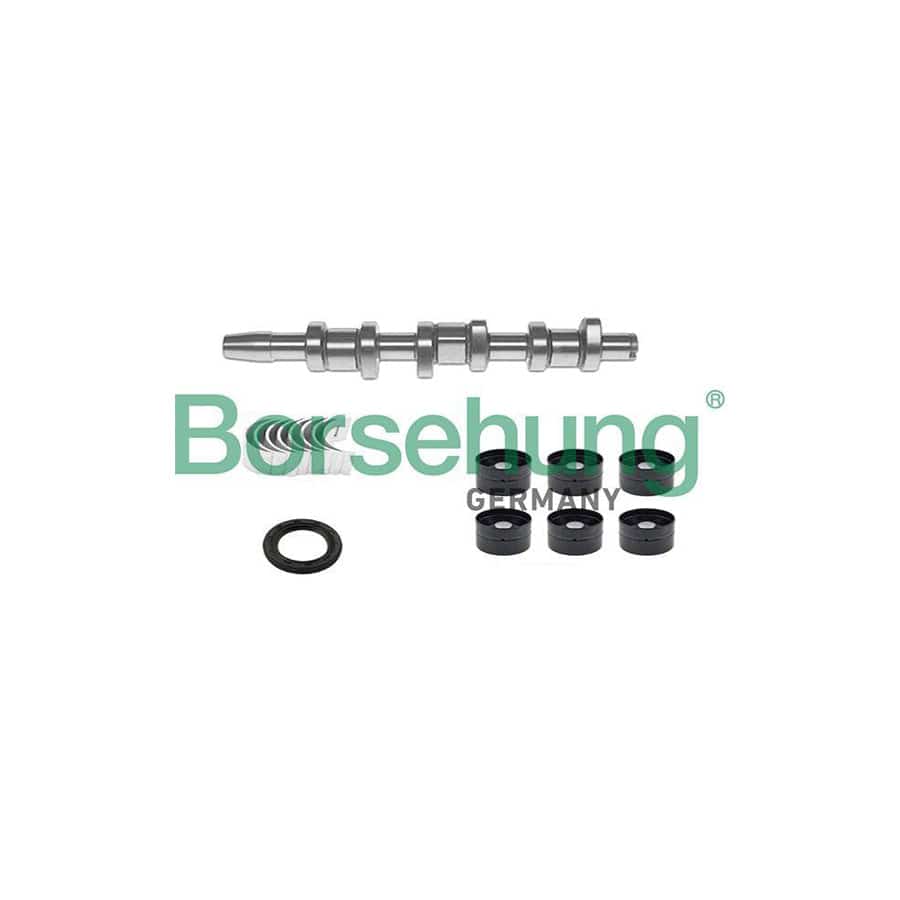 Borsehung B18665 Camshaft Kit