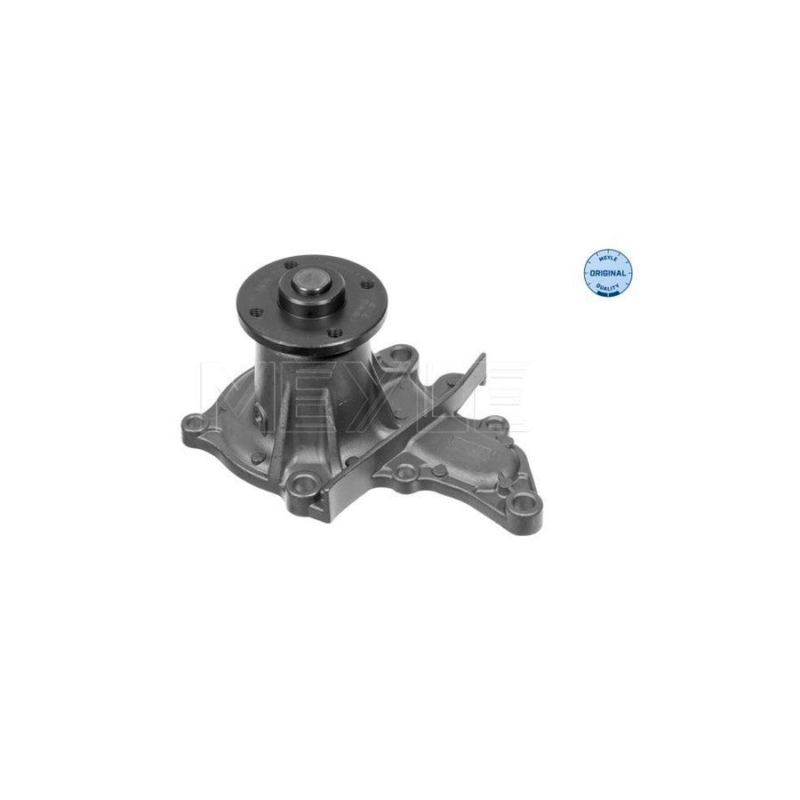 Meyle 30-13 161 0005 Water Pump