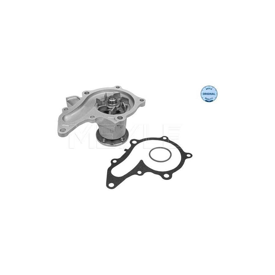 Meyle 30-13 161 0011 Water Pump