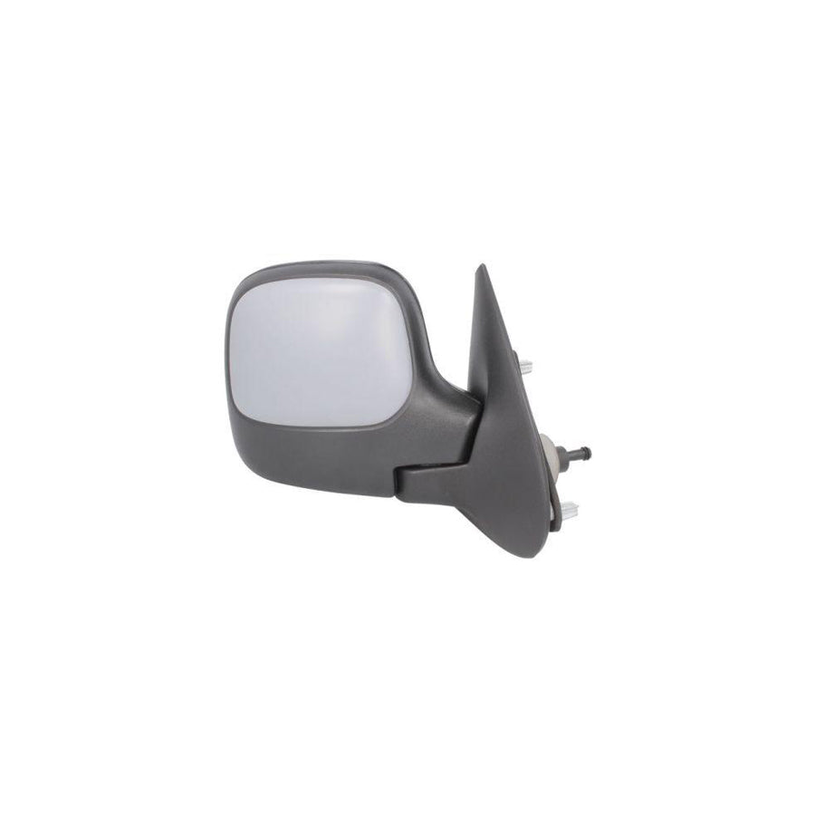 Blic 5402-04-9238972 Wing Mirror