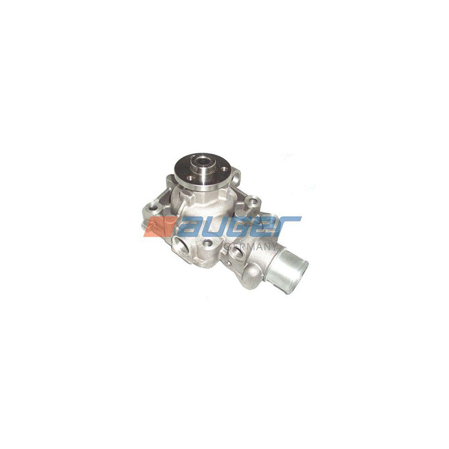 Auger 71653 Water Pump