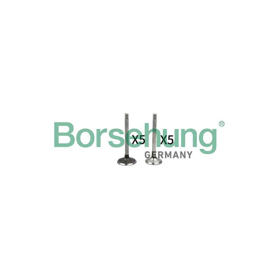 Borsehung B18662 Valve