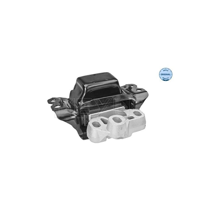 Meyle 100 199 1076 Engine Mount