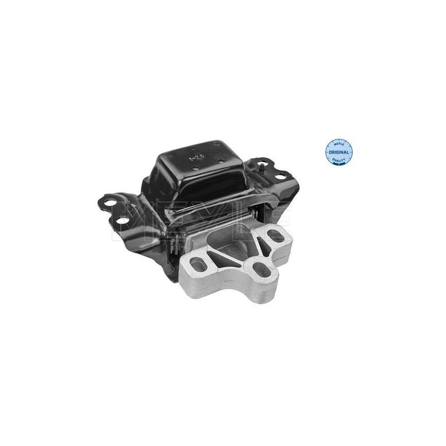 Meyle 100 199 1074 Engine Mount