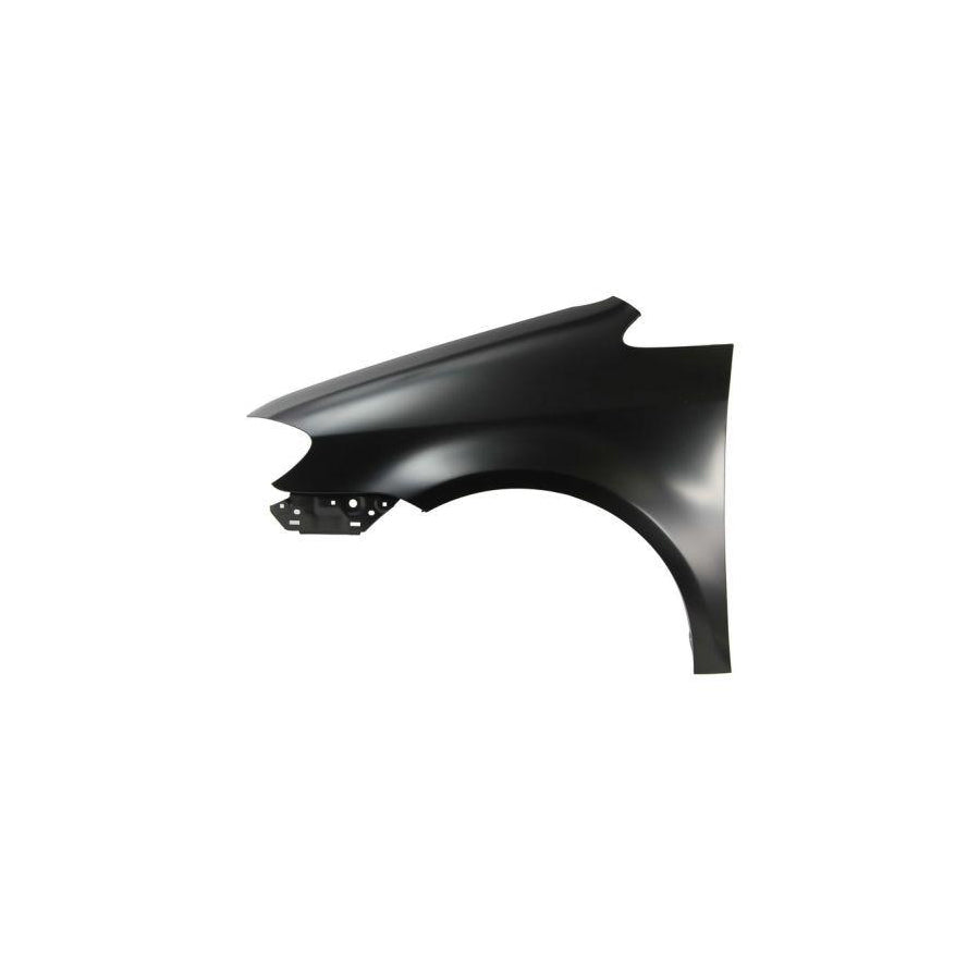 Blic 6504-04-9545315P Wing Fender For VW Touran I (1T1, 1T2)