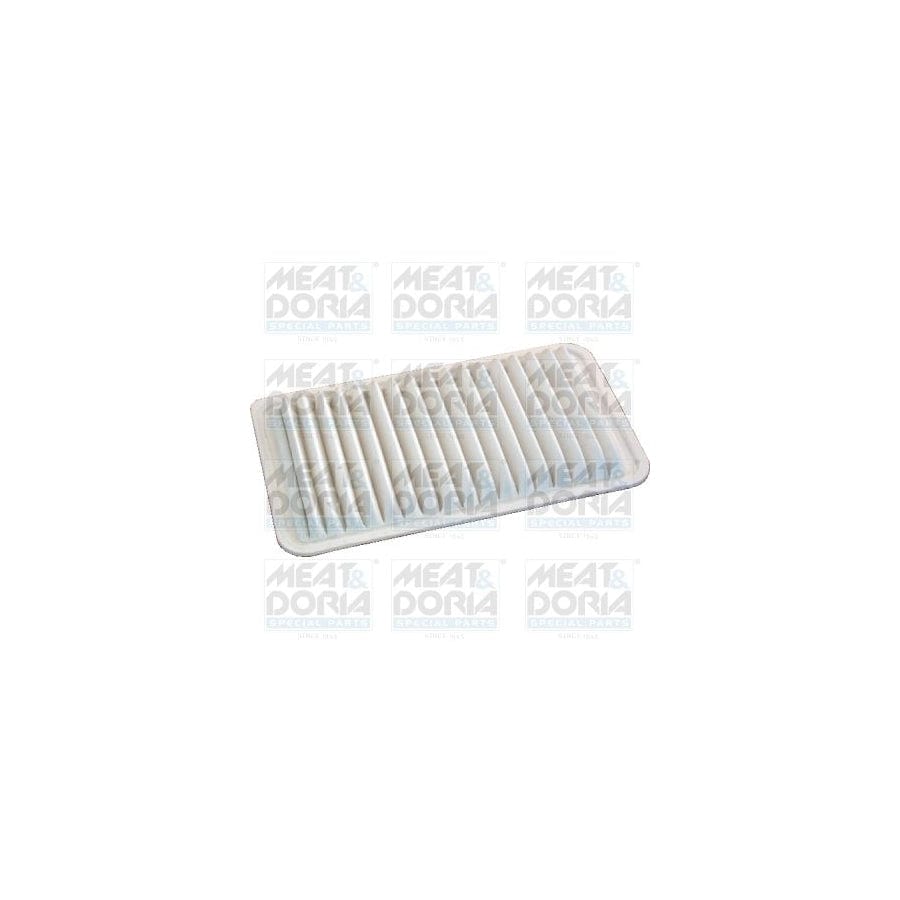 MEAT & DORIA 18381 Air Filter | ML Performance UK Car Parts